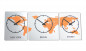 Preview: Orange, 3 Teilige, XL,Zeitzonen,Weltzeit,uhr, silber,gebürstet,bürouhr